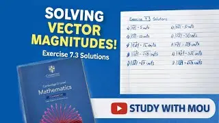 Cambridge O&rsquo;Level vector | Maths D | Vector magnitude solutions