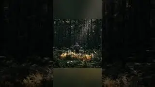 Sonhos e pesiztencia