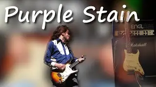 Purple Stain - Red Hot Chili Peppers (Guitar Cover)