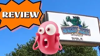 REVIEW ON WHISKEY JOE'S BAR & GRILL TAMPA / OH MY MY