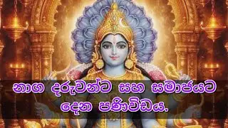 🟡නාගදරුවන්ට සහ සමාජයට දෙන පනිවිඩය.