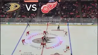 Ducks Vs Red Wings NHL Hockey Game at Honda Center Anaheim | Ryan Strome Scores Winning Goal in OT