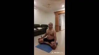 Surya Namaskar Hatha Yoga Pranayama Sun Salutation Indian Traditional Exercise  Breathing Exercise 