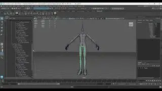 Joint Skeleton IAEV 36 JBTP