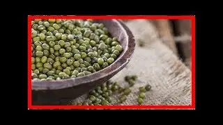 Nat&uuml;rliche Medizin: Mungbohnen sind das nat&uuml;rliche Superfood