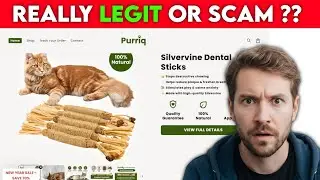 Purriq Natural Silvervine Dental Sticks Review 2026 | Are They Legit or Worth It?
