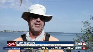 Kayakers gather to help clean up Southwest Florida waterways