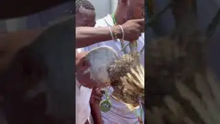 Ifa initiation #ifa #ifainitiation #spiritual #spiritualawakening #spiritualjourney #yoruba #isese