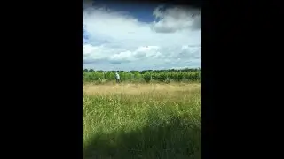 Finger Lake Wines in Upstate NY