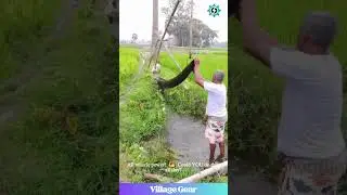 NO PUMP NEEDED?! 🤯 Is This the TOUGHEST Way to Water Fields?! #farming #primitive #hardwork