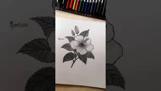 Easy Hibiscus Flower Drawing ✏️ #trendingshorts