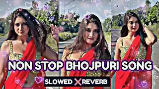 Nonstop Bhojpuri Slow Reverb | New lofi Song | With Lofi Bhojpuri Lofi Songs2025 ||