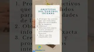 Objetivos del Control Interno 