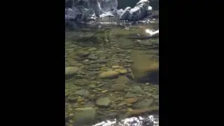 Lucia/Moulton Falls 3