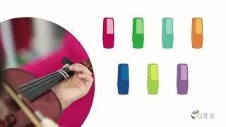 Chime In: Why Colored Notes?