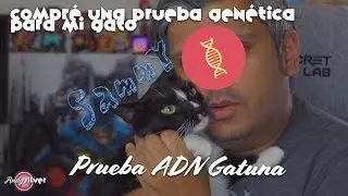 Prueba de ADN Para Gatos?? | Andy Silver