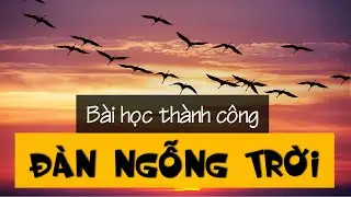 CÂU CHUYỆN ĐÀN NGỖNG TRỜI (Nghe kể chuyện hay)