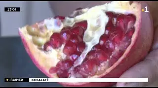 Kosalafé grenade