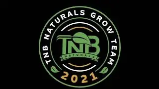 madd rabbit  Update - Flicked the switch on the 4x2  got the cobs warming up #tnbnaturals #teamtnb