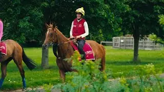 She&rsquo;s Perfect - Our New Filly 😍