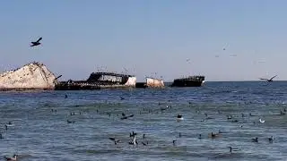 Concrete Ship & Pier 20220830 Throwback Santa Cruz County