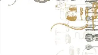 J.S. Bach, Corrente BWV 1004 - Attilio Motzo, violino barocco