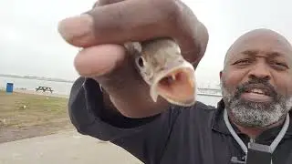 Sand Trout Fishing In Galveston, Texas #fishing #fish #trout #saltwaterfishing 