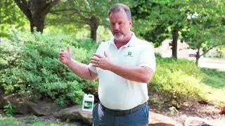 Turf2Max Explained | Fix the Soil and Turf Will Thrive