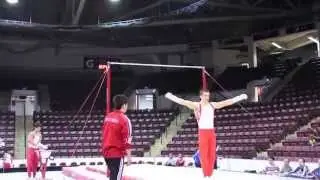 Canadian men's gymnastics team - Podium Training - 2014 Senior Pan Am Championships