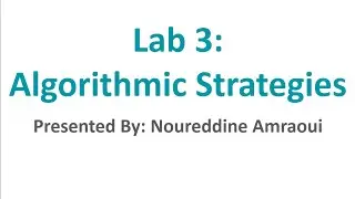 Advanced Algorithms -- Lab 3: Algorithmic Strategies