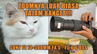 Review Lensa  Sony FE 70-300mm f/4.5-5.6 G OSS, Zoomnya Tajam Banget