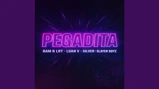 Pegadita