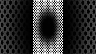 &iexcl;Ser&aacute;s Absorbido por el Agujero Negro de la Pantalla! shorts @Astronomiaweb