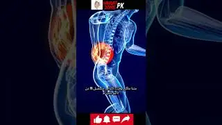 5 Shocking Scientific Facts | Amazing Urdu Information