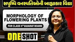 સપૃષ્પિ વનસ્પતિઓની બાહ્યાકાર વિદ્યા | MORPHOLOGY OF FLOWERING PLANTS | Botany One Shot for Class 11
