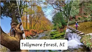 Learnings on a quiet Autumn day | Tollymore Forest | Northern Ireland | Weekend trip series | DIY