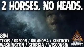 Texas Woman Finds Headless Horses in Bigfoot Territory | A Collection | Bigfoot Society 894