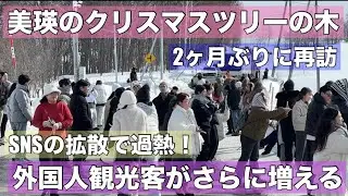さらに過熱？もうお手上げ？美瑛のオーバーツーリズム！理由はSNSの拡散•••