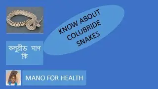 COLUBRID SNAKES  IN ENGLISH