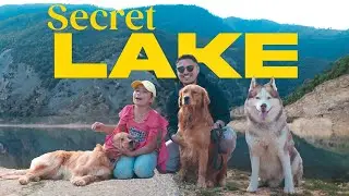 Taking Max and Leo for SWIMMING Adventure l😍 Sony ZV-E1 | The Himalayan Husky