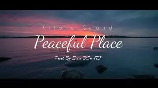 [SOLD] Afropop Afrobeat Instrumental 2017 - Peaceful Place | Prod. By D.i.n BEATS