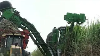 Higher oil prices a boon for Brazil's ethanol industry