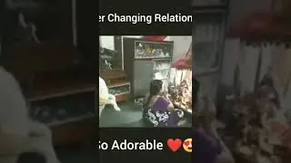 good video of dog 🐩in Alwar