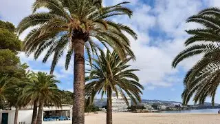 Chillout Lounge Relaxing Palma de Mallorca🌴🌴🌴 M&auml;rz 2021 | Balearen | 30 Min
