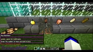 [Mnecraft] Timecraft SMP Server