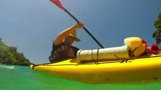 Abel Tasman Kayaks Rentals | Explore the Abel Tasman at Your Own Pace