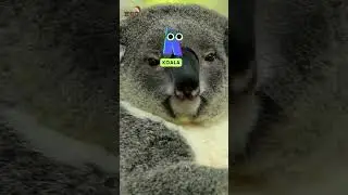 ABC spelling IJKL | Learn spelling for kids#hogthehedgehog #abcd #animals #animal #kidsvideo
