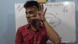 hsc zoology chapter 8 lecture 4 part 2