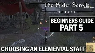 ESO Beginners Guide to Success Part 5 - Choosing an Elemental Staff