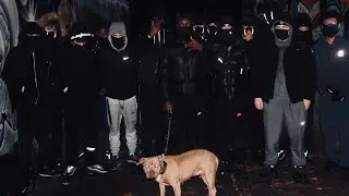 Bantz- Whip It In Pyrex ( Official Music Video)